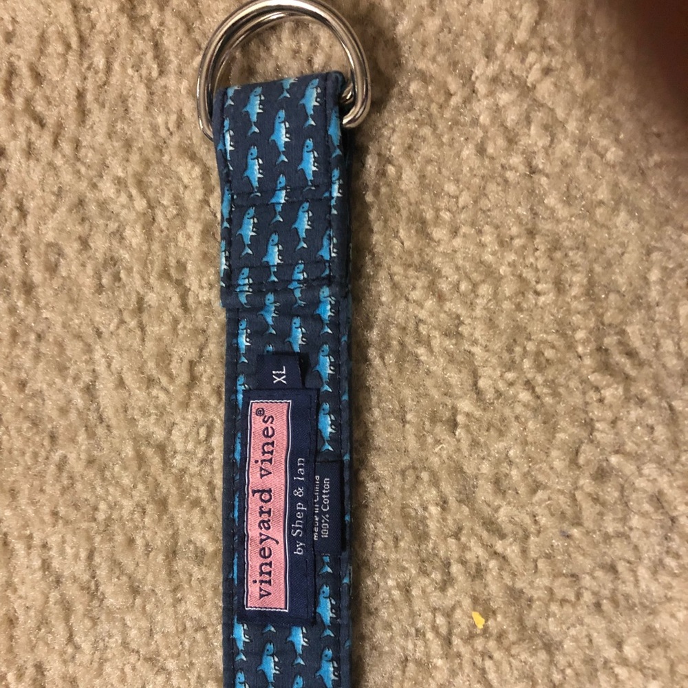 Belt